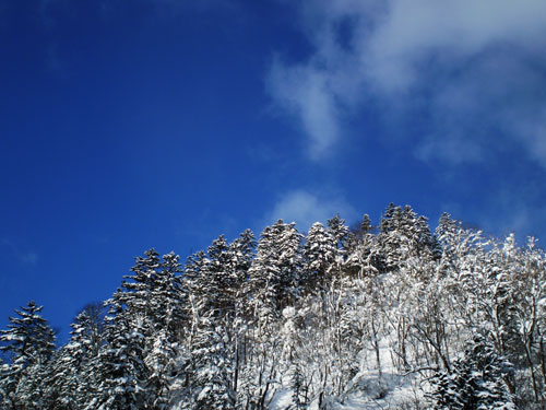 a0074469_22455713.jpg