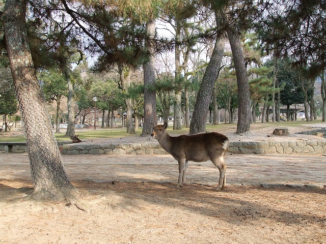 b0013080_026071.jpg