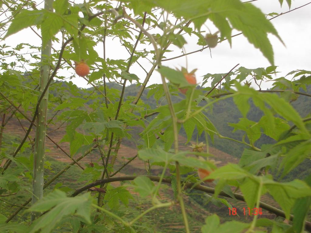 f0007580_2310896.jpg