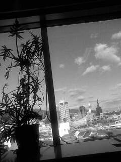 f0100480_18143618.jpg