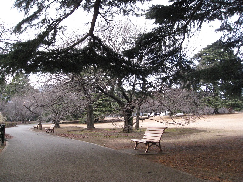 c0138182_11123952.jpg
