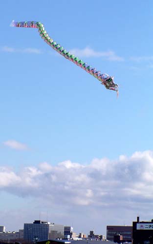 f0092382_1259515.jpg