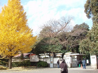 c0105785_8484191.jpg
