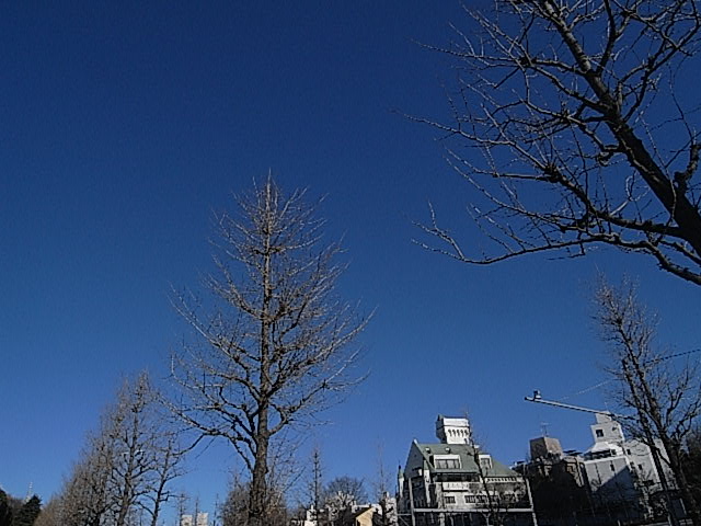 f0146989_17394555.jpg