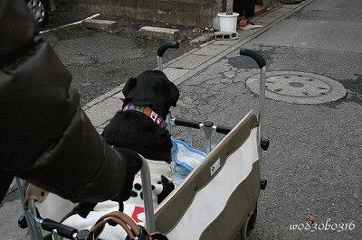c0149893_19554416.gif