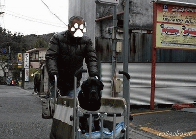 c0149893_19573267.gif