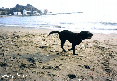 c0149893_20312423.gif