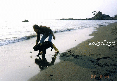 c0149893_20313771.gif