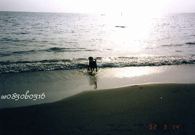 c0149893_20315082.gif