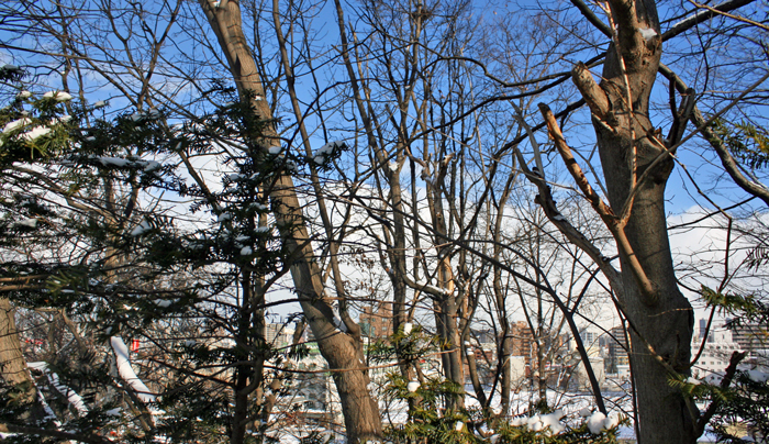 f0001895_17252384.jpg