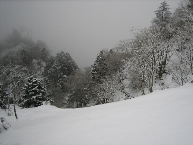 c0147398_1831288.jpg