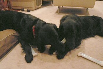 c0050400_0383047.jpg