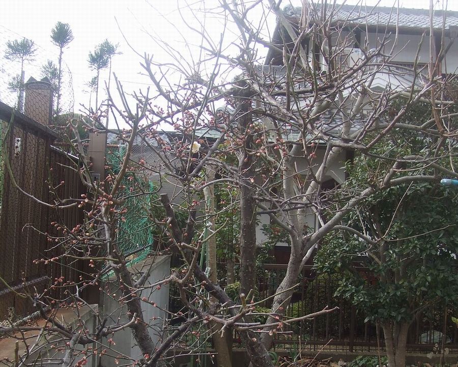 e0039100_23404736.jpg