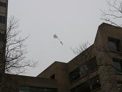 c0131701_7551330.jpg