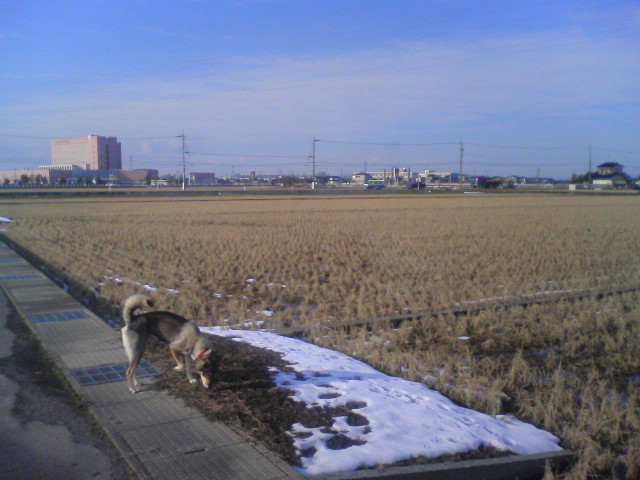 f0079202_15494757.jpg