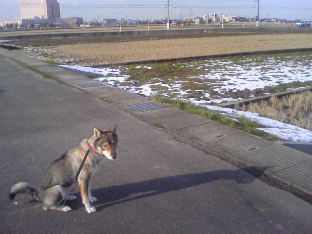 f0079202_15494767.jpg