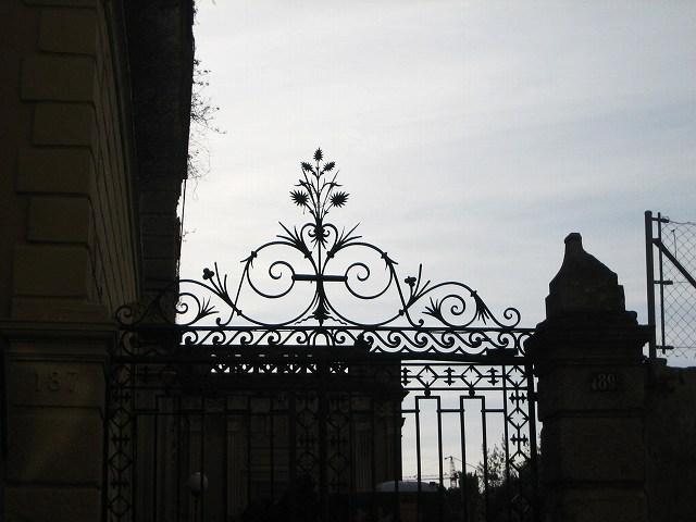 b0064411_7503529.jpg