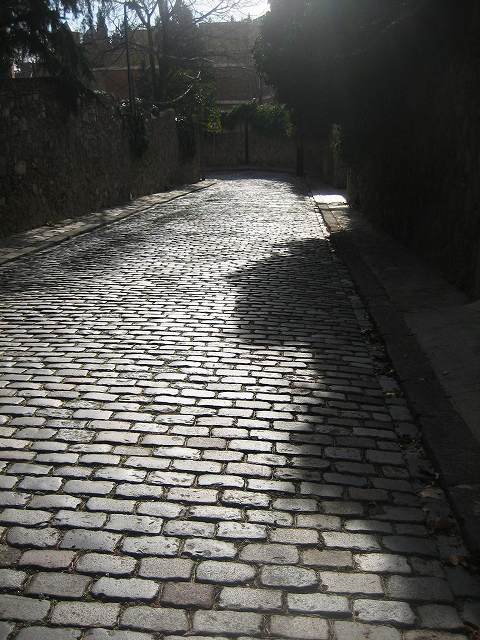 b0064411_820153.jpg