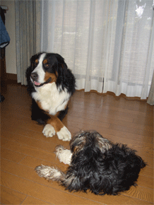 c0143711_20564789.gif