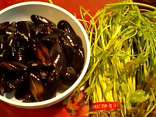 a0101715_2313025.jpg