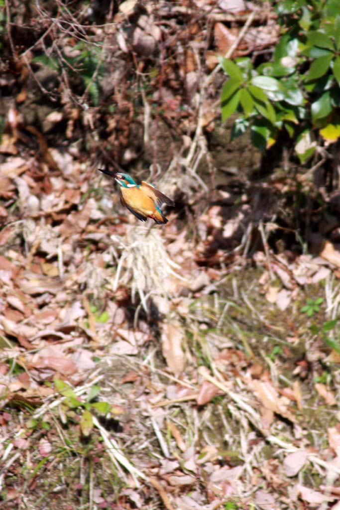 d0085715_035544.jpg