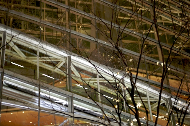 c0080716_7421633.jpg