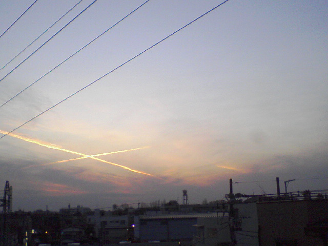 f0000616_1713312.jpg