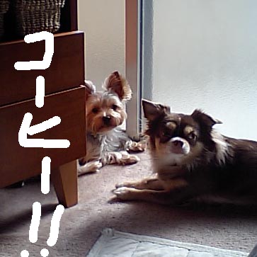 c0036617_15113358.jpg