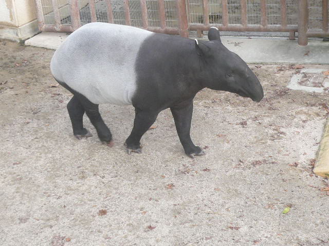 e0026017_23254685.jpg