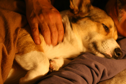 e0071225_053587.jpg