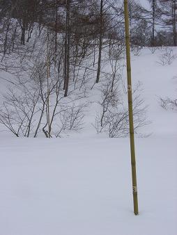 f0118332_2244550.jpg