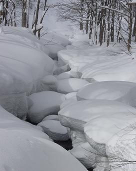 f0118332_2261236.jpg