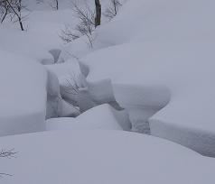 f0118332_2271474.jpg