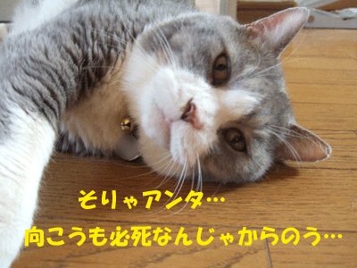 f0008935_1933817.gif