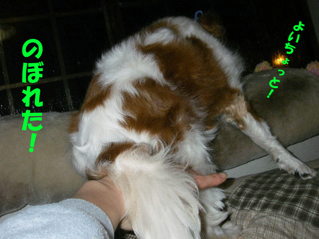 c0136838_1164827.gif