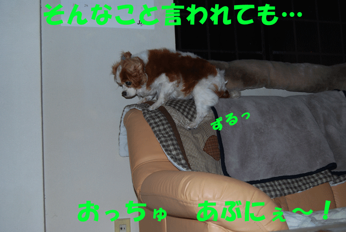 c0136838_139928.gif