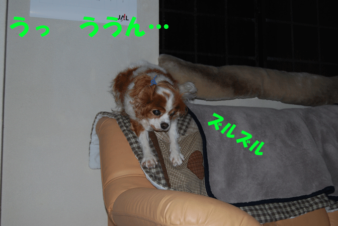 c0136838_1424722.gif