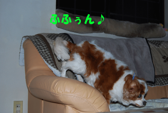 c0136838_1482310.gif