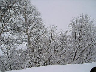 b0001440_14564579.jpg