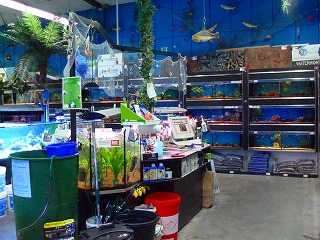 c0153740_2324164.jpg