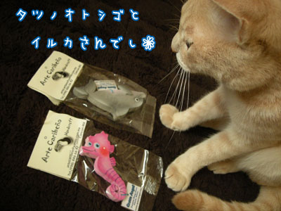 c0096342_22551748.jpg