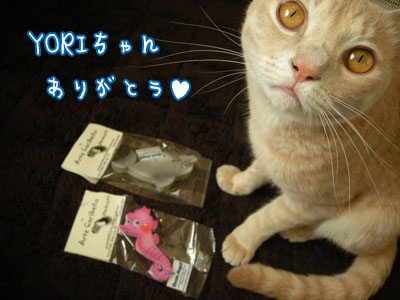 c0096342_2256892.jpg