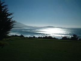 e0019942_5363625.jpg