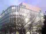 b0090243_929264.jpg