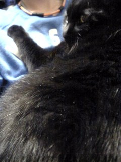 c0120043_1812491.jpg