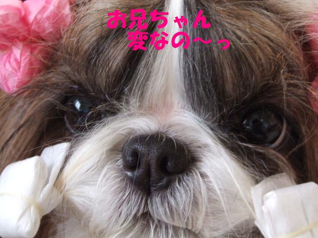 a0091448_2235628.jpg