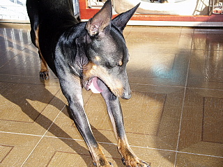 c0123149_2373929.jpg