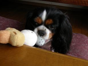 c0145250_1255399.jpg