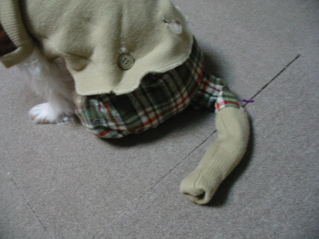 f0122259_2263829.jpg