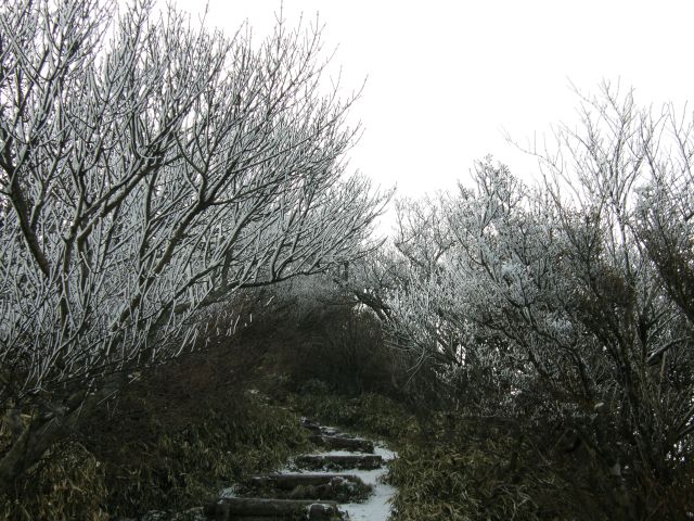 c0042869_21255878.jpg